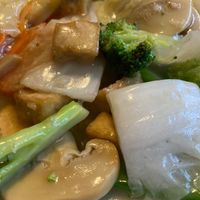 Veggies and tofu in white sauce at Mekong Vietnamese Restaurant in Sandusky