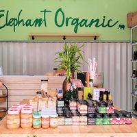 Inside at Elephant Organic  in Chiang Mai