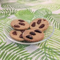Cookies at Karma Kitchen in Siolim