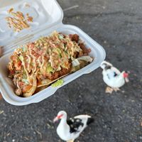 The ducks at the park were super jealous at Kokoz in Hilo