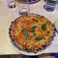  at Italo House in Bondi Beach