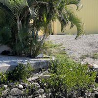   at Bean To Cup Coffee Lounge - Bayshore Dr in Naples