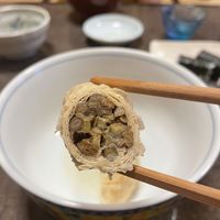 Yuba filled with… vegetables  at Sanshijo in Nikko