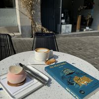   at Momade Cupcakes in Brussels
