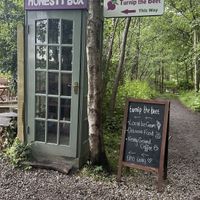   at Turnip The Beet in Stirling