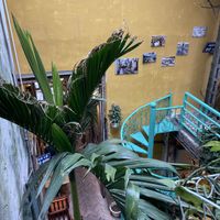   at Hanoi Coffee Culture  in Hanoi