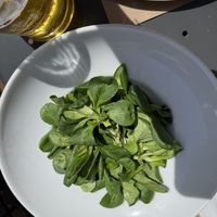 Green salad  at Bernabò in Bergamo
