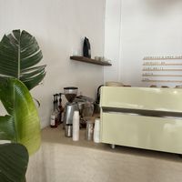Bar  at Daydream in Tamraght