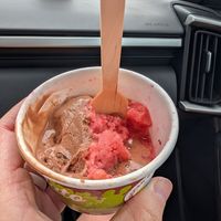 Chocolate and strawberry sorbets at Grocer's Daughter Chocolate Gelato + Sweets Shop in Empire