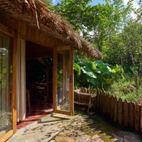  at Tree Vegan Kitchen in Sapa