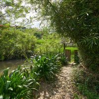  at Tree Vegan Kitchen in Sapa