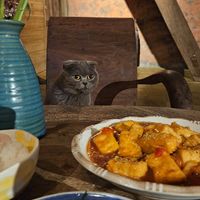 Tofu in Tomato Sauce & excellent service ♡ at Tree Vegan Kitchen in Sapa