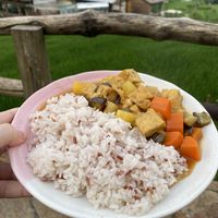 Vegan curry   at Tree Vegan Kitchen in Sapa