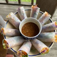 Fresh spring rolls  at Tree Vegan Kitchen in Sapa