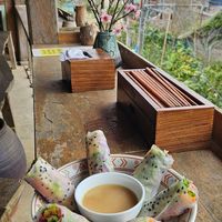 Spring rolls at Tree Vegan Kitchen in Sapa