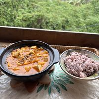   at Tree Vegan Kitchen in Sapa
