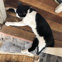 Our friend while eating at Glossitses in Crete