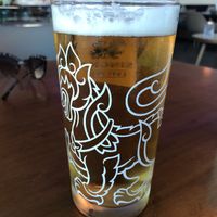 Vegan beer on draught   at Desert Lotus in Abu Dhabi