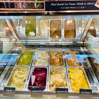  at Down to Plant - Roppongi Hills   in Tokyo