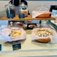  at Down to Plant - Roppongi Hills   in Tokyo