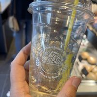   at Down to Plant - Roppongi Hills   in Tokyo