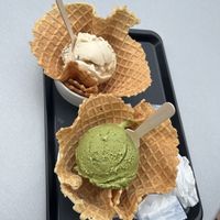   at Down to Plant - Roppongi Hills   in Tokyo