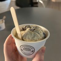 Very rummy raisin ice cream at Down to Plant - Roppongi Hills   in Tokyo