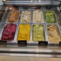  at Down to Plant - Roppongi Hills   in Tokyo