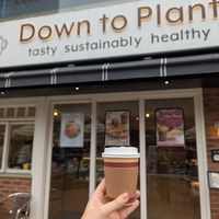  at Down to Plant - Roppongi Hills   in Tokyo