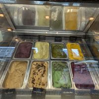  at Down to Plant - Roppongi Hills   in Tokyo