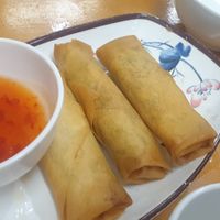 Vegan spring rolls at Dumplings Eats in Frankston