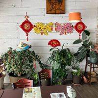  at Thanh Luong Vegetarian in Minnetonka