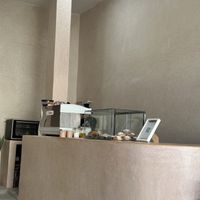 Bar  at Hey Yalla in Tamraght