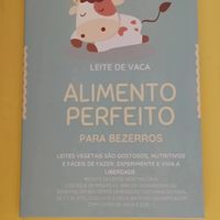  at Semente de Girassol in Curitiba