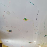 O teto é lindo at Semente de Girassol in Curitiba