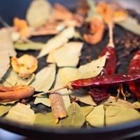Raw Spices from India at Labas India in Vilnius