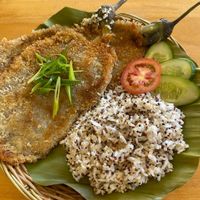 Schnitzel Eggplant at Hungry Veggies in Moalboal