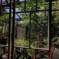 Interior at Beach Muffin in Zushi