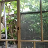 view from back of restaurant at Beach Muffin in Zushi