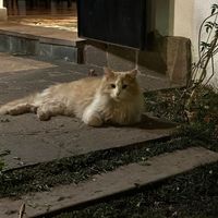   at Muchachito Vicente in Mendoza