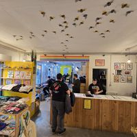 Interior at L'Abeille Blanche in Brussels