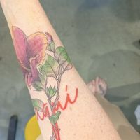  at L'Abeille Blanche in Brussels