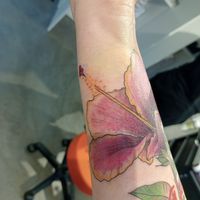  at L'Abeille Blanche in Brussels