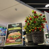 offers  at Veganland in Bielefeld