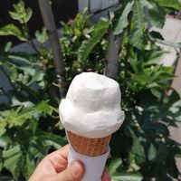  at La Michoacana es Vegana in Mexico City