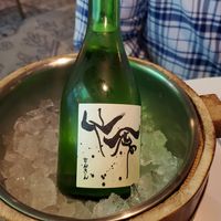 Modern sake at Sushi Saint in Orlando