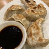 Pan fried dumplings   at The Original Buddha Bodai - Kosher Vegetarian Restaurant in New York City