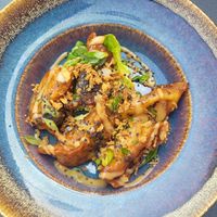 Gyozas at Bar Verde in Maastricht