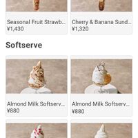   at plant more in Tokyo