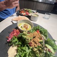   at plant more in Tokyo